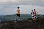 Click on thumbnail for larger photo